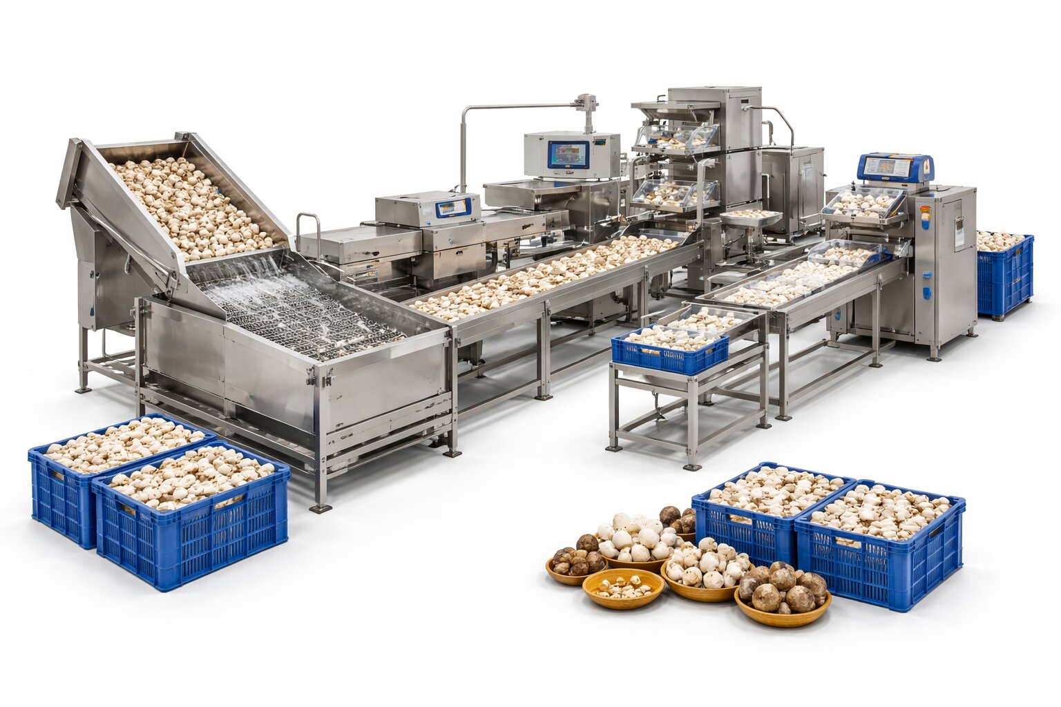 Mushroom Processing Machine in India